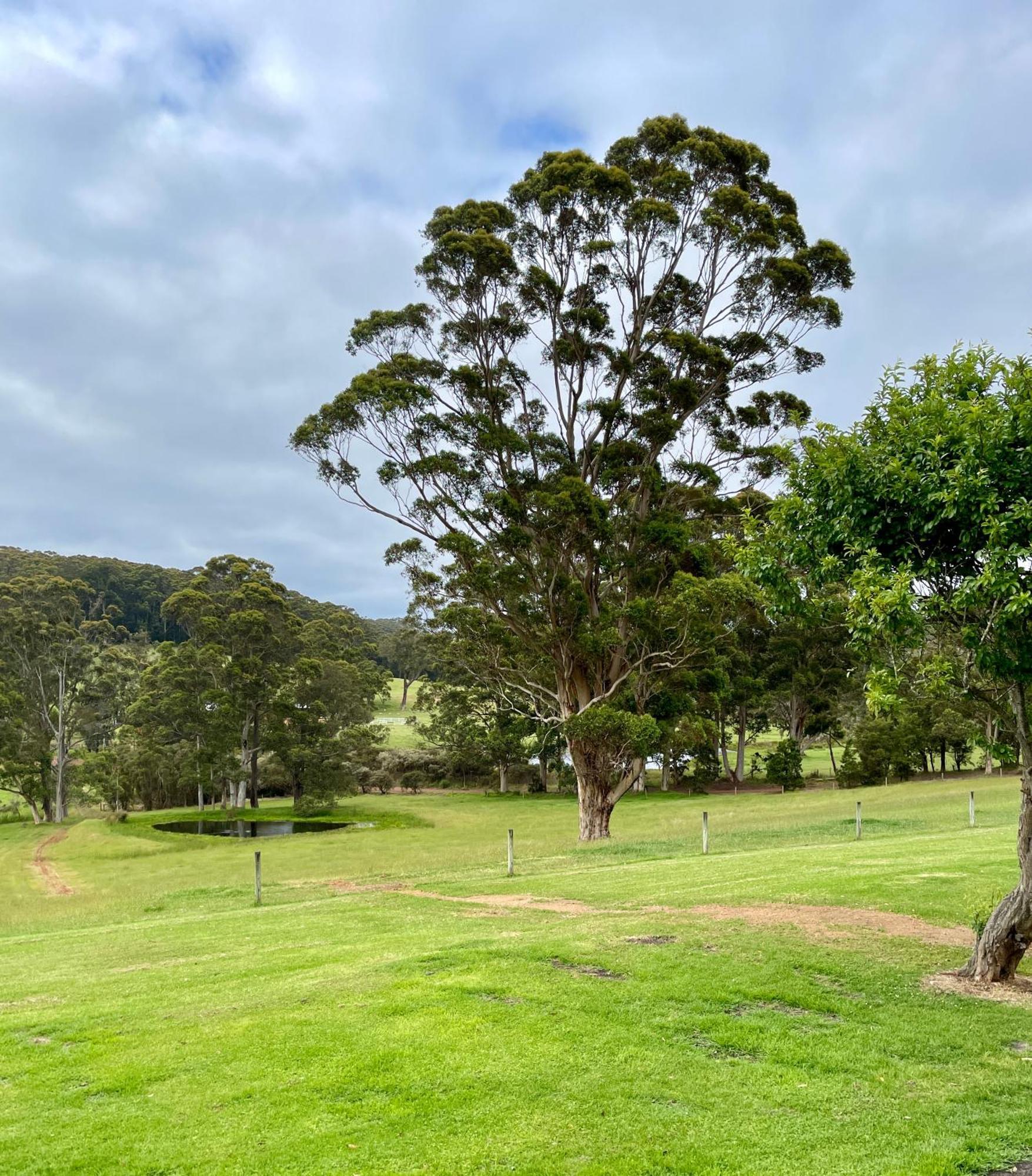 Springwood Farm stay *
